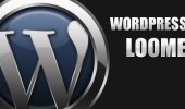 WP keyword Link Plugin（WordPress内链外链插件）